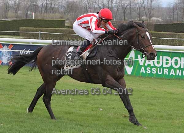 Lumisson 4 Zwahlen prot